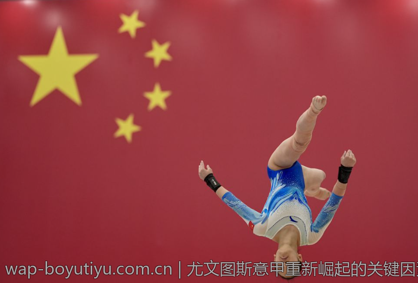 尤文图斯意甲重新崛起的关键因素与新帅的战术革新